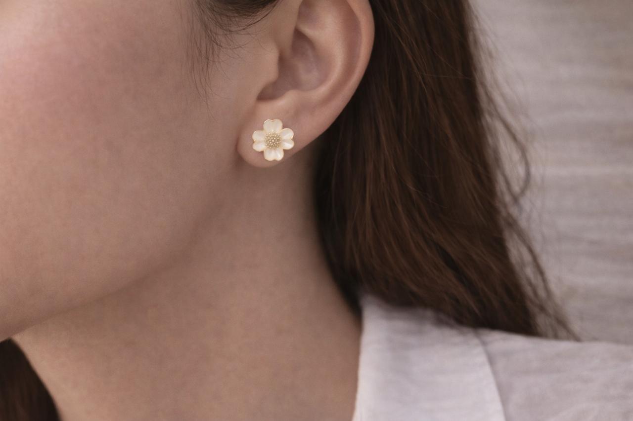 Golden Pollen Blossom Studs